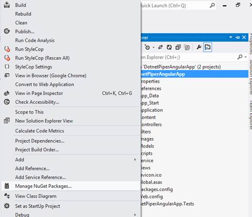 NuGet package manage