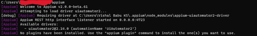appium server running