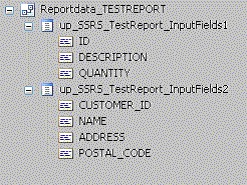 Reportdata
