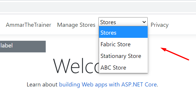 Bind ASP Model to SelectList in _Layout page using Sessions in ASP.NET Core