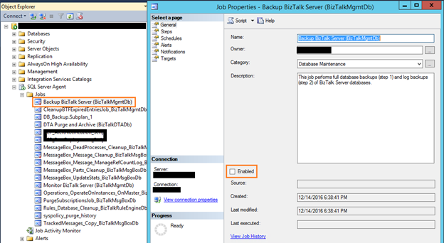 BizTalk SQL Database - Configuration Errors And Resolution