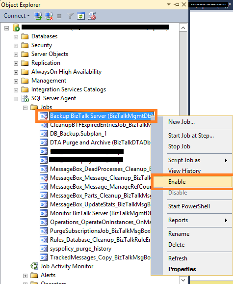 BizTalk SQL Database - Configuration Errors And Resolution