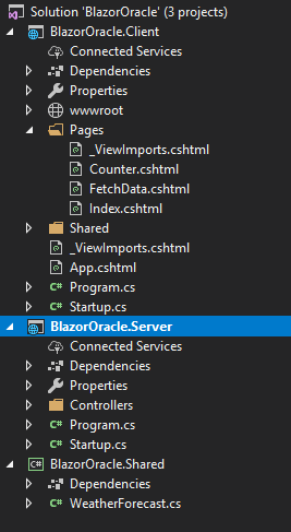 Blazor oracle server