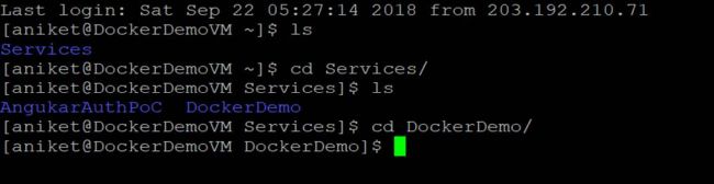 Build And Deploy ASP.NET WebAPI Using Docker