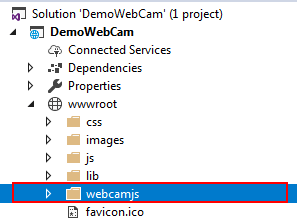 Capturing Image from Web Cam 
