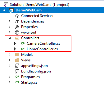 Capturing Image from Web Cam 