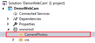 Capturing Image From Web Cam In ASP.NET Core MVC