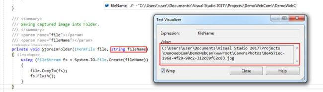 Capturing Image from Web Cam 