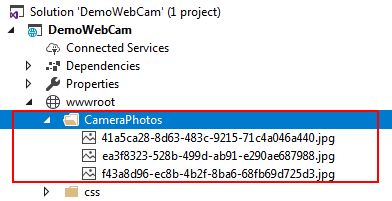 Capturing Image from Web Cam 