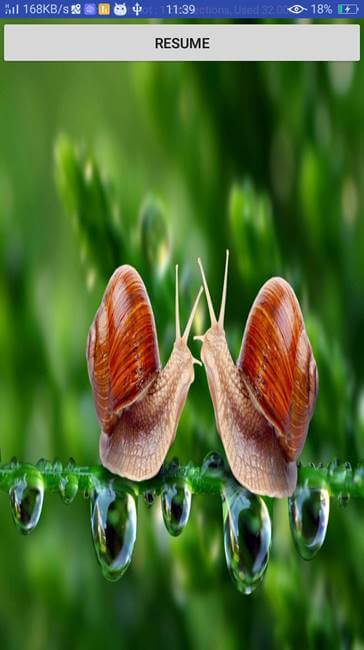 Audio Player Android App