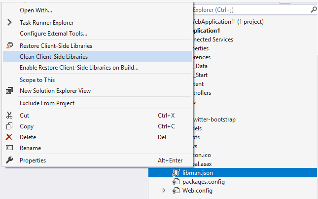 Client-Side Package Management With Library Manager In Visual Studio