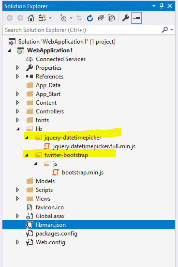 Client-Side Package Management With Library Manager In Visual Studio