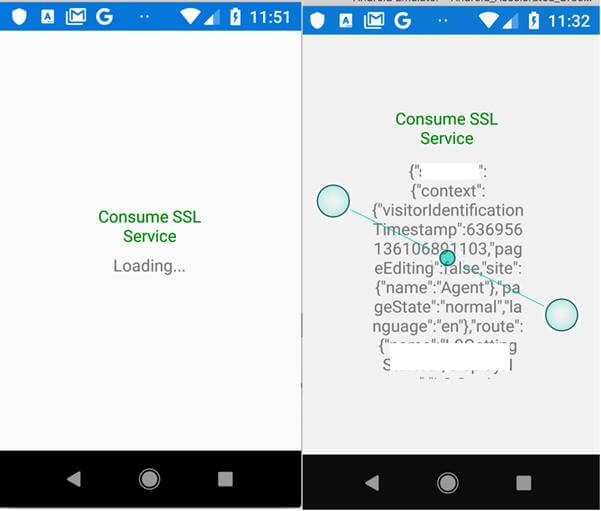 Consume Https Service With Self-Signed Certificate In Xamarin Forms