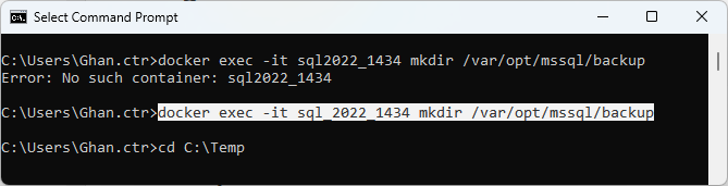 Container (3-1), Get Backup File into Container