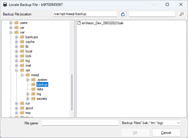 Container (3-1), Get Backup File into Container