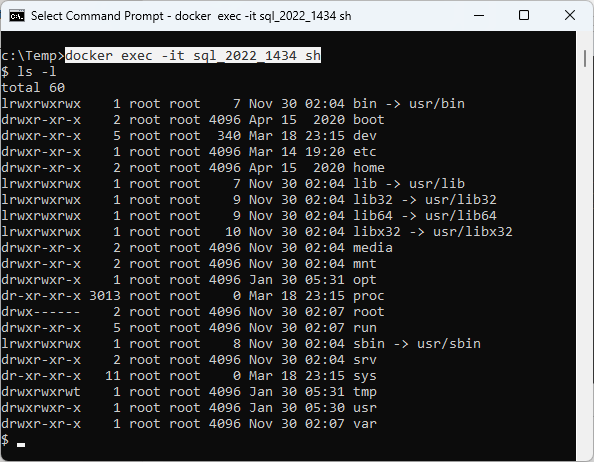 Container (3-1), Get Backup File into Container