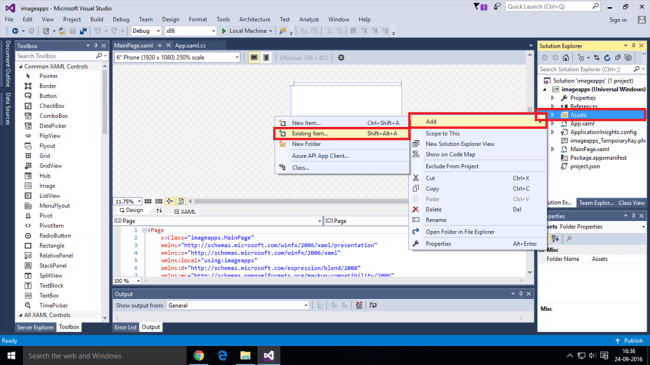 Univesal Windows Platform 