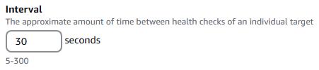 Health Check Interval