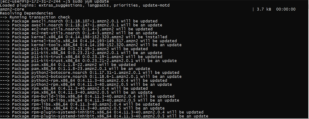 Create Amazon Linux AMI EC2 Instance And Deploy NodeJS Application