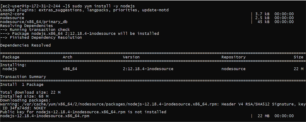 Create Amazon Linux AMI EC2 Instance And Deploy NodeJS Application