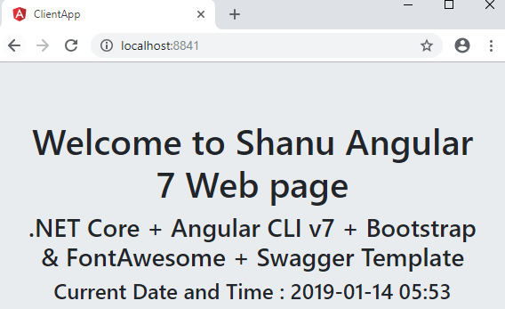 Getting Started With Angular 7 And ASP.NET Core 2.1