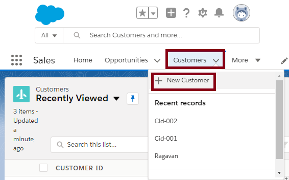 Creating A Custom Field In SalesForce