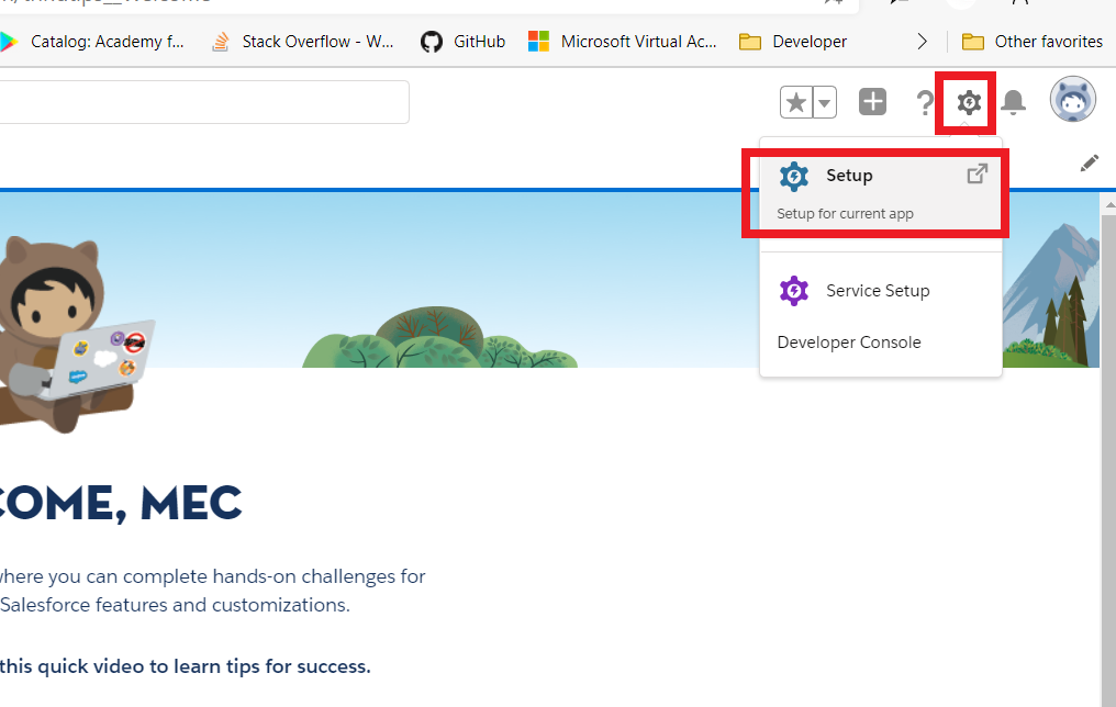 Creating A Geo-Location Field Data Type In Salesforce Object