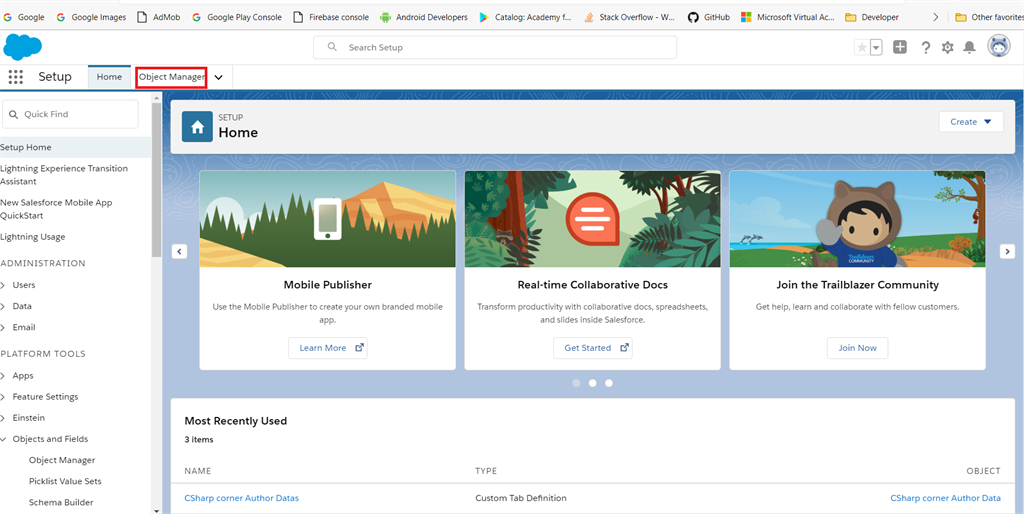 Creating A Geo-Location Field Data Type In Salesforce Object