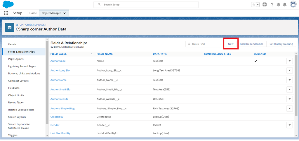 Creating A Geo-Location Field Data Type In Salesforce Object