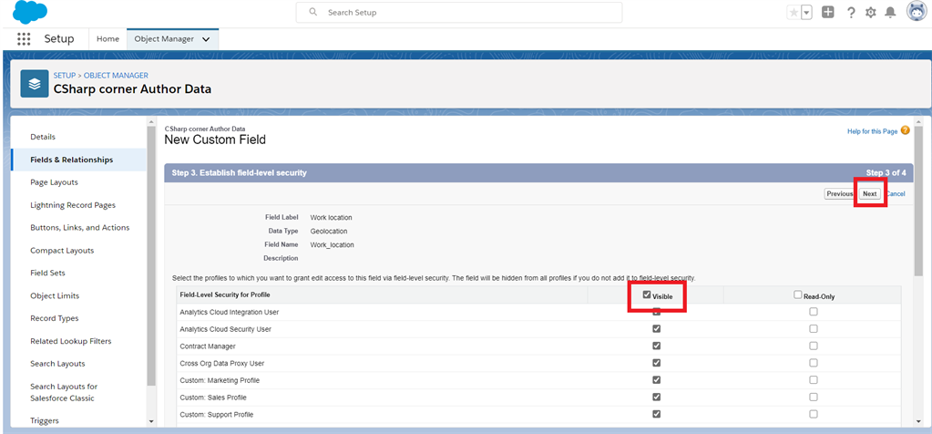 Creating A Geo-Location Field Data Type In Salesforce Object