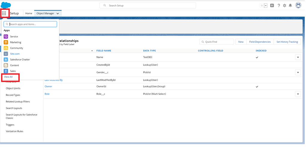 Creating A Geo-Location Field Data Type In Salesforce Object