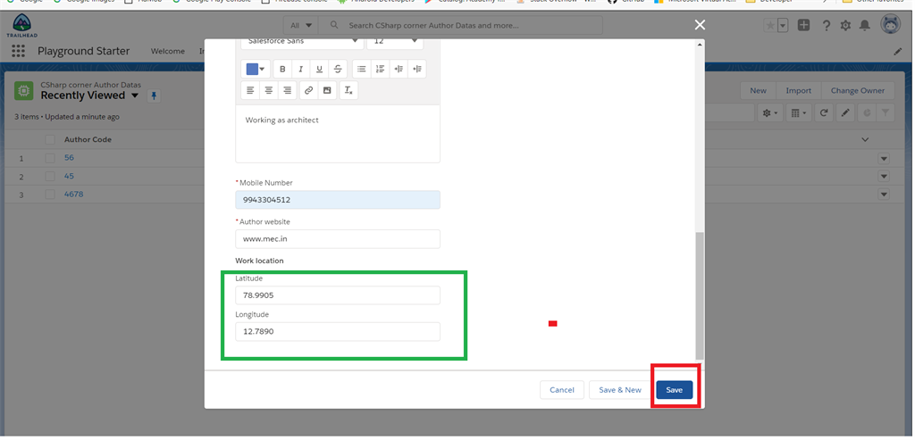 Creating A Geo-Location Field Data Type In Salesforce Object