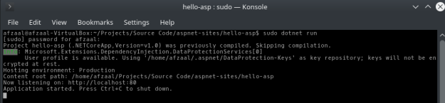 Web server running at port 80