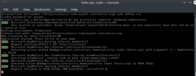 ASP.NET web application’s log in terminal window