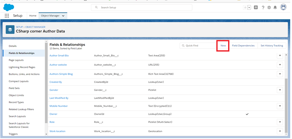 Creating Email Field Data Type In Salesforce Object