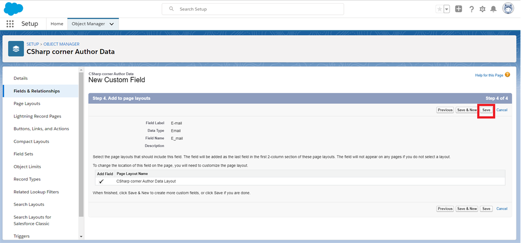 Creating Email Field Data Type In Salesforce Object