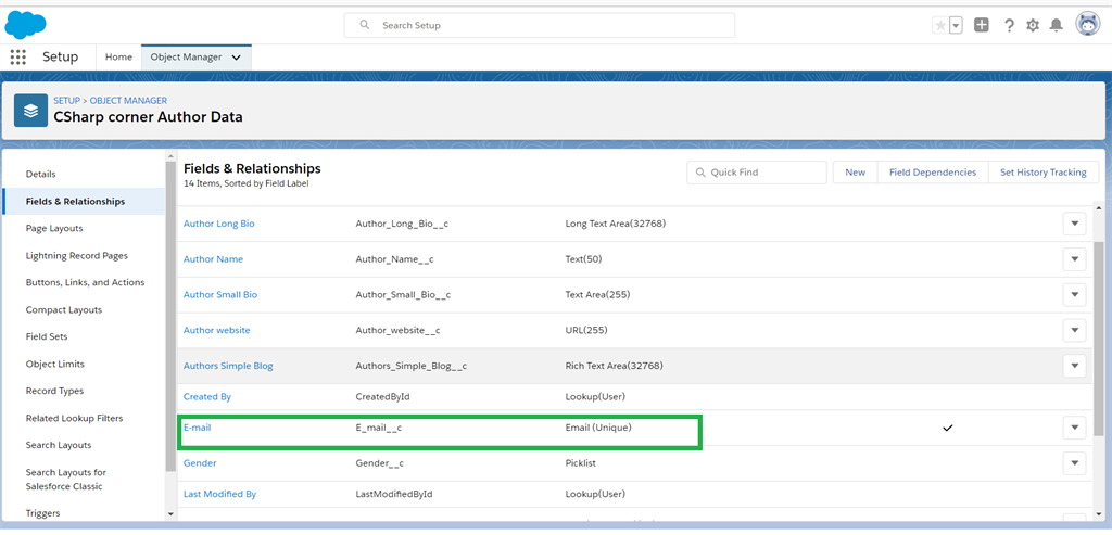 Creating Email Field Data Type In Salesforce Object