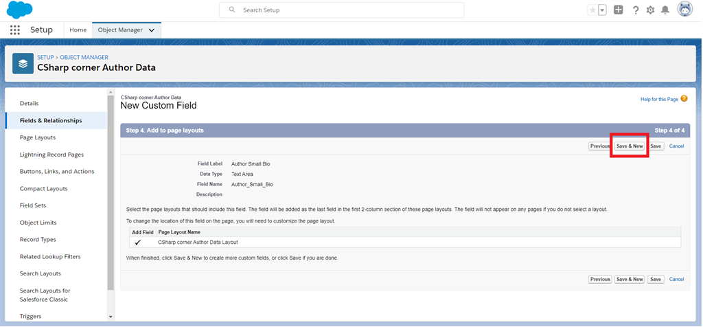 Creating Text And Text Area Field Data Types In Salesforce Object