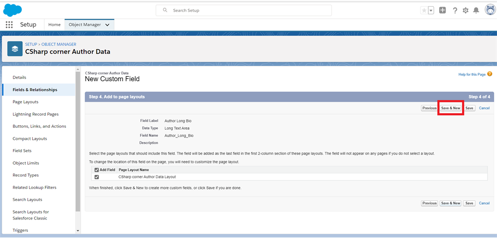 Creating Text And Text Area Field Data Types In Salesforce Object