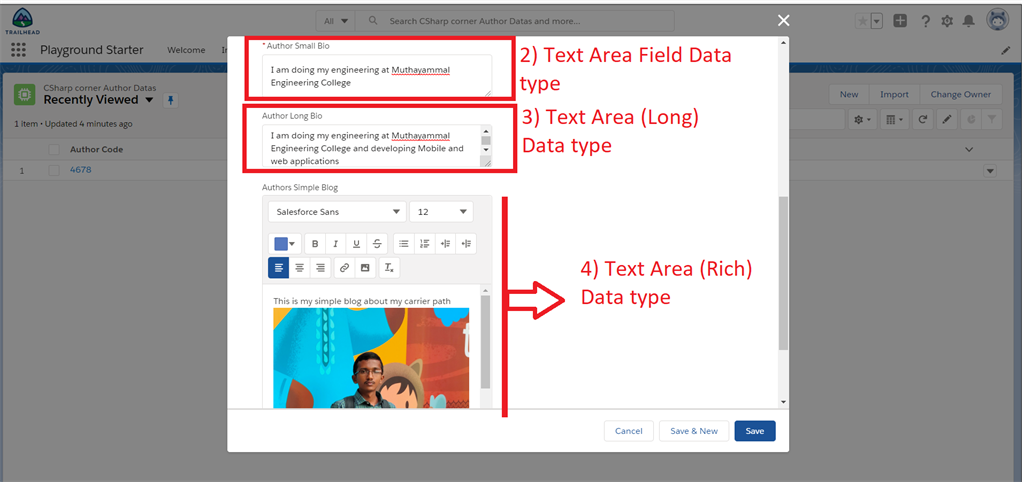 Creating Text And Text Area Field Data Types In Salesforce Object