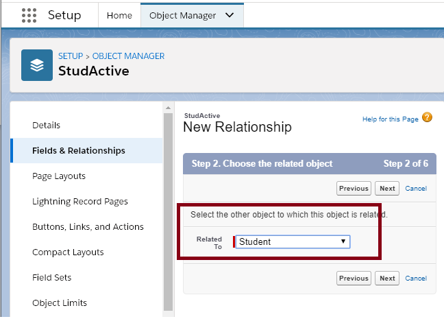 Creating the Many to Many Relationship in SalesForce