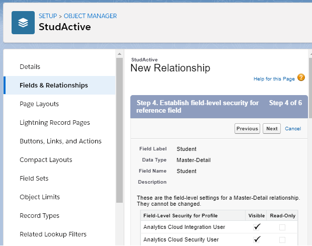 Creating the Many to Many Relationship in SalesForce