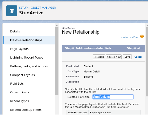 Creating the Many to Many Relationship in SalesForce