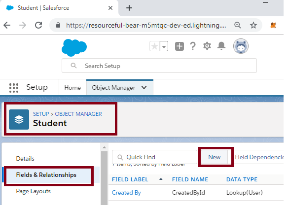 Creating The Master Detail Relationship In SalesForce