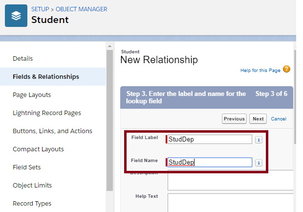 Creating The Master Detail Relationship In SalesForce