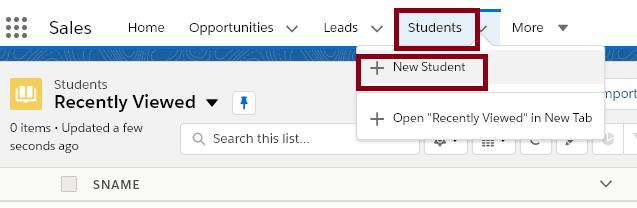 Creating The Master Detail Relationship In SalesForce