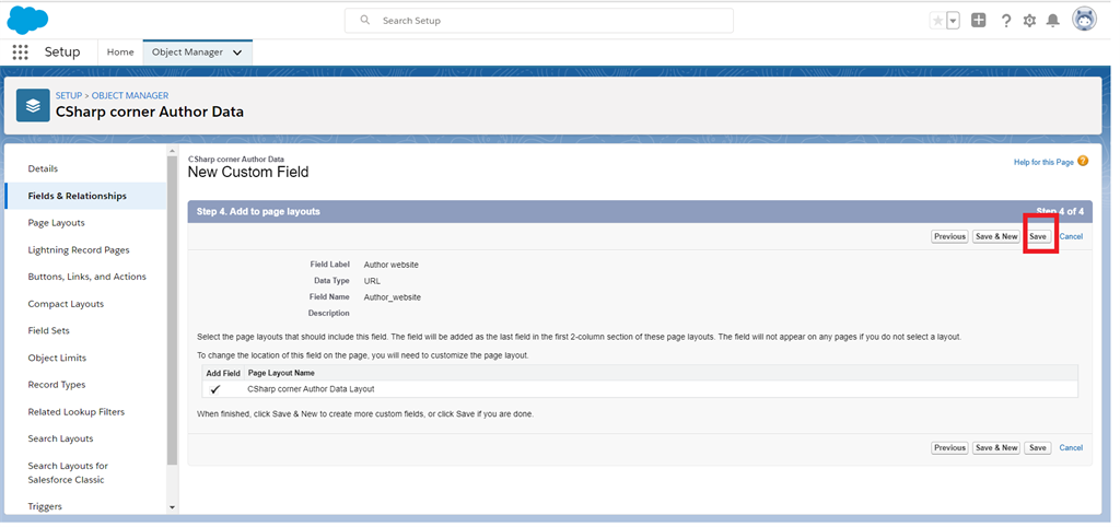 Creating URL Field Data Types In Salesforce Object