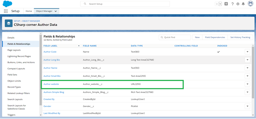 Creating URL Field Data Types In Salesforce Object