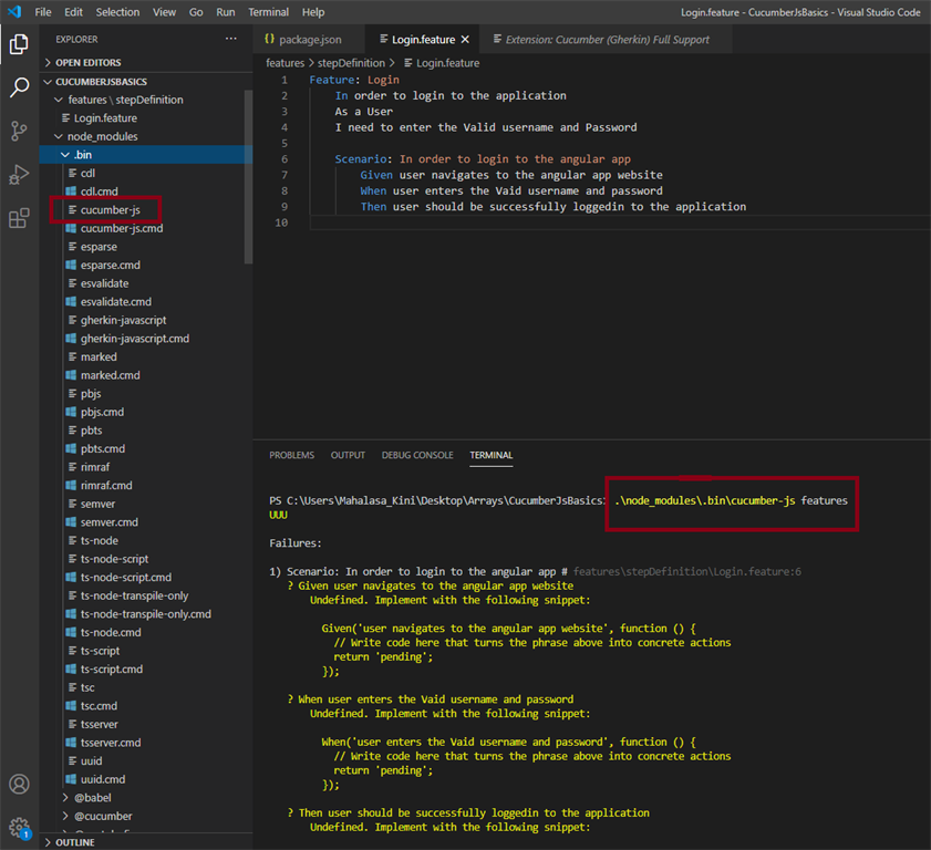 CucumberJS Basics In Depth (Visual Studio Code Editor)