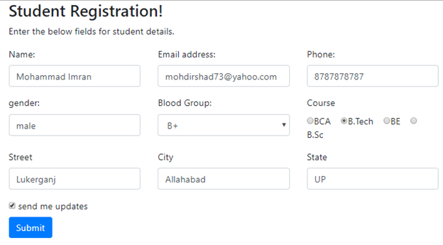 Data Binding To A Model In Angular